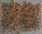 8pcs 65.6Ft Spring Flower Garland, Fake Rose Vine Artificial Flowers Hanging Rose Ivy Garland for Room Wall Decor Hanging Baskets Wedding Arch Garden Background Decor